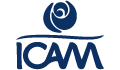 icam-b